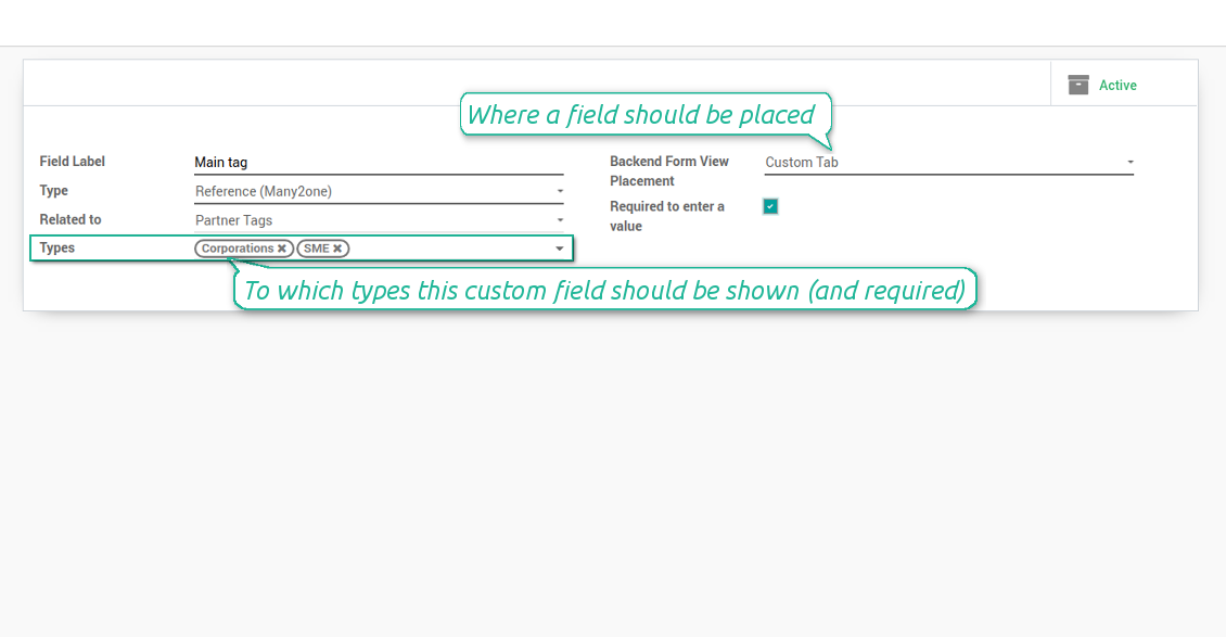 Custom fields depend on partner type