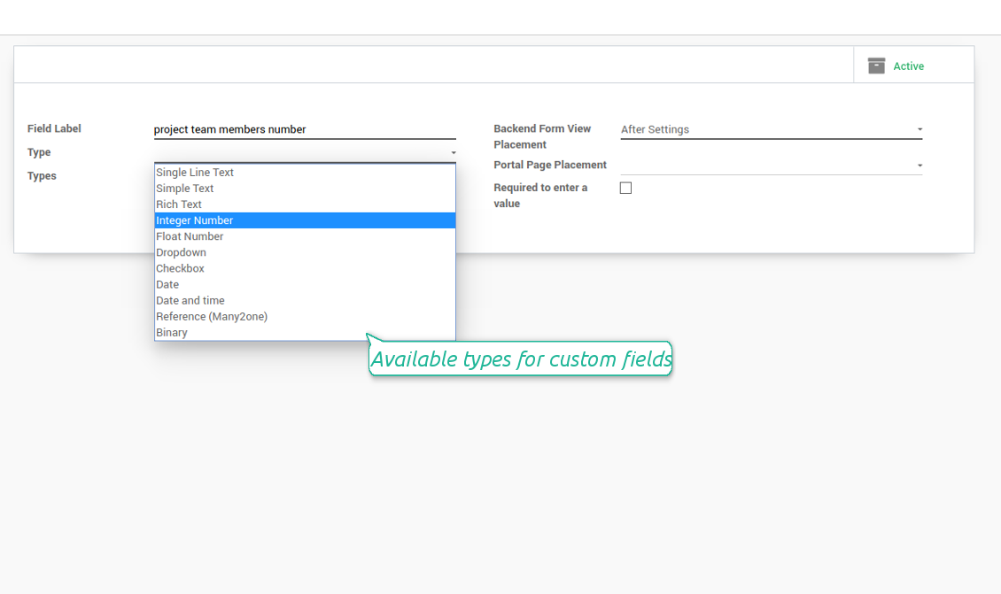 Custom field types for Odoo projects