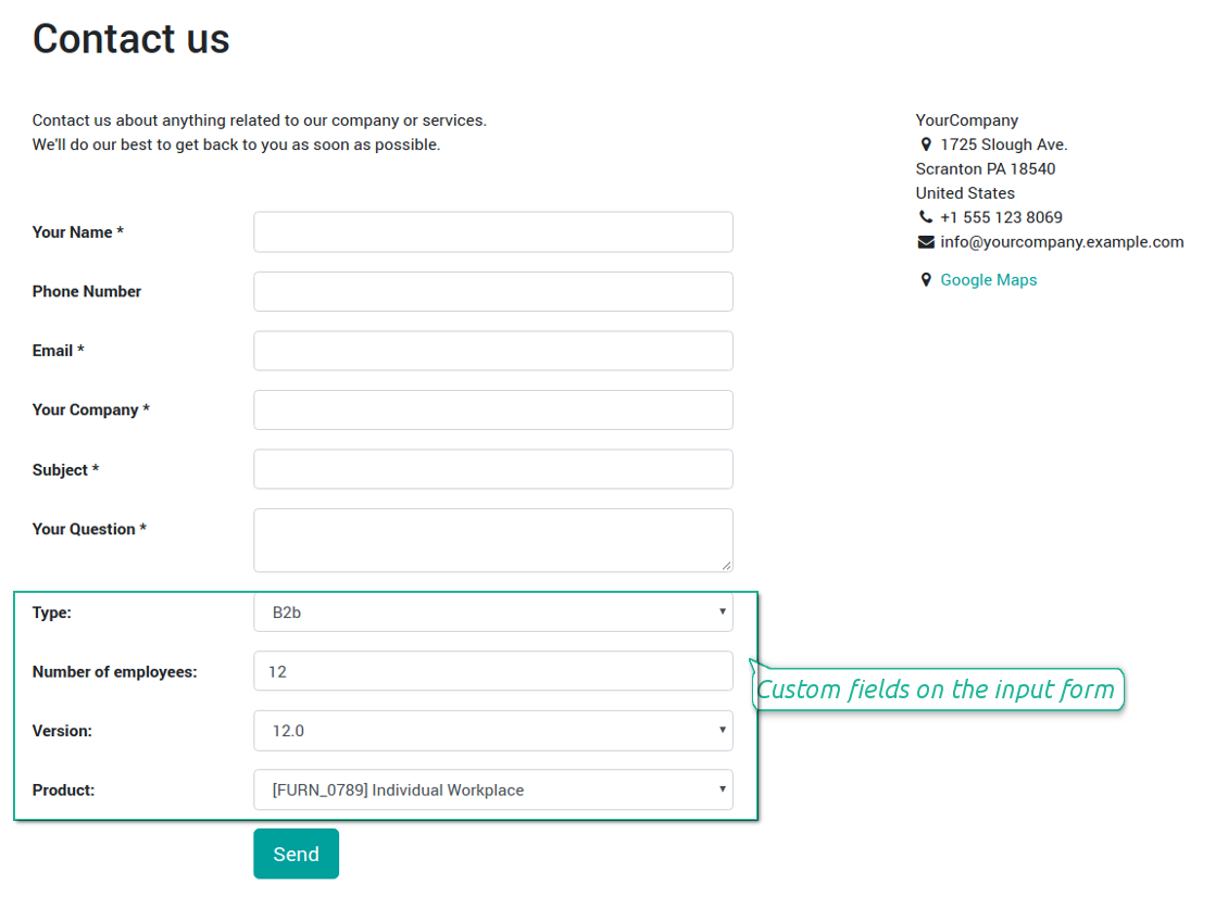 Website contact us form custom fields