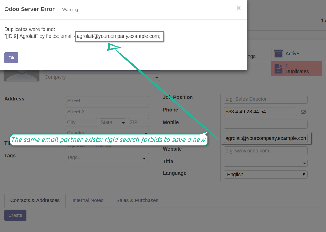 Odoo partners rigid duplicates