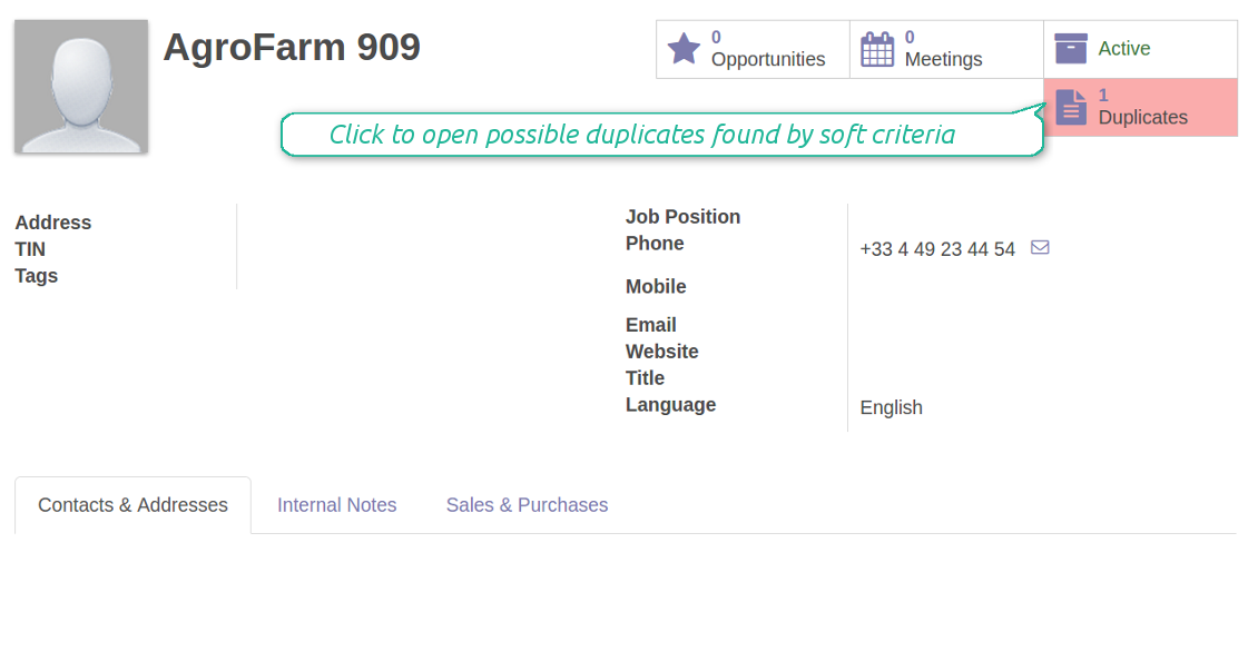 Odoo search customers duplicates