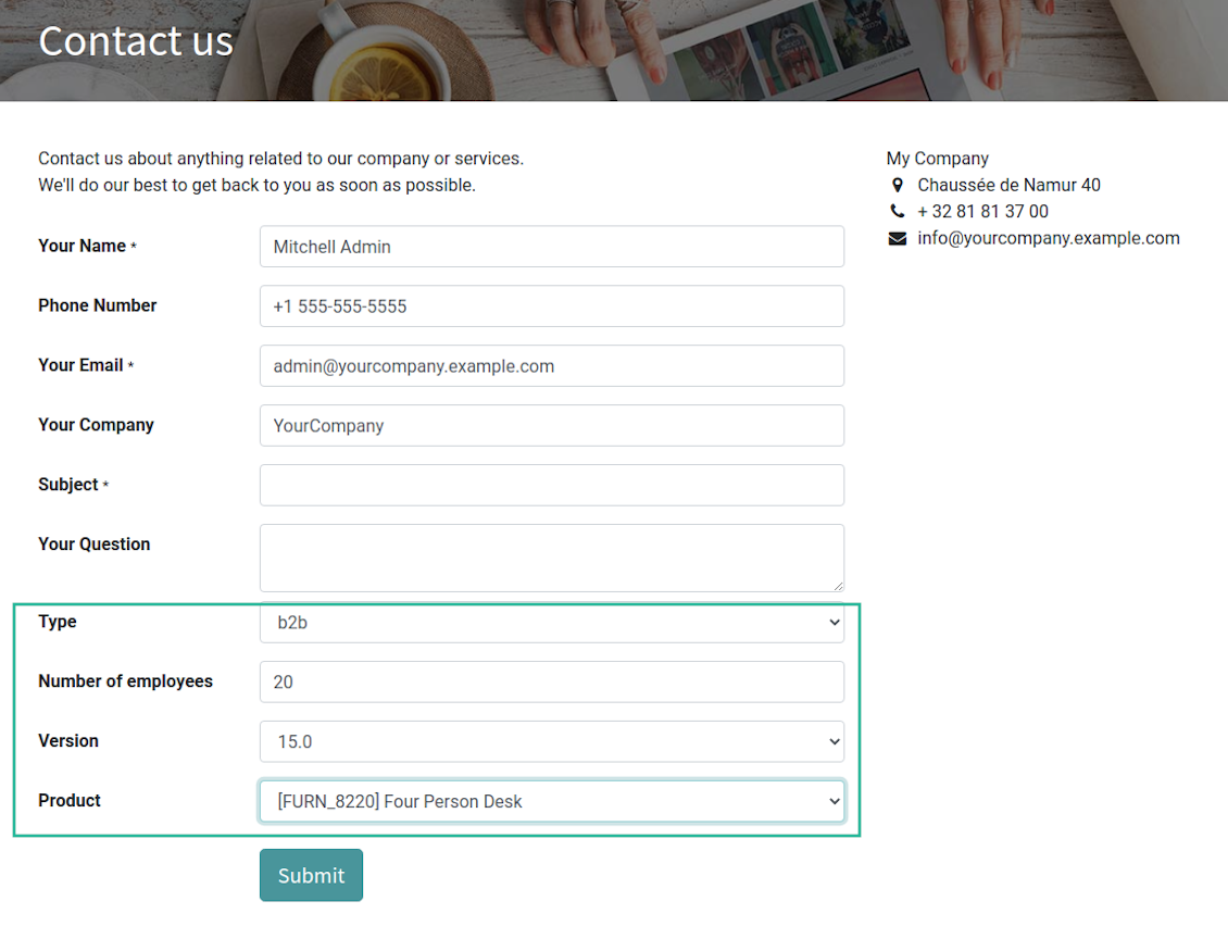 Lead custom fields for Odoo contact us form
