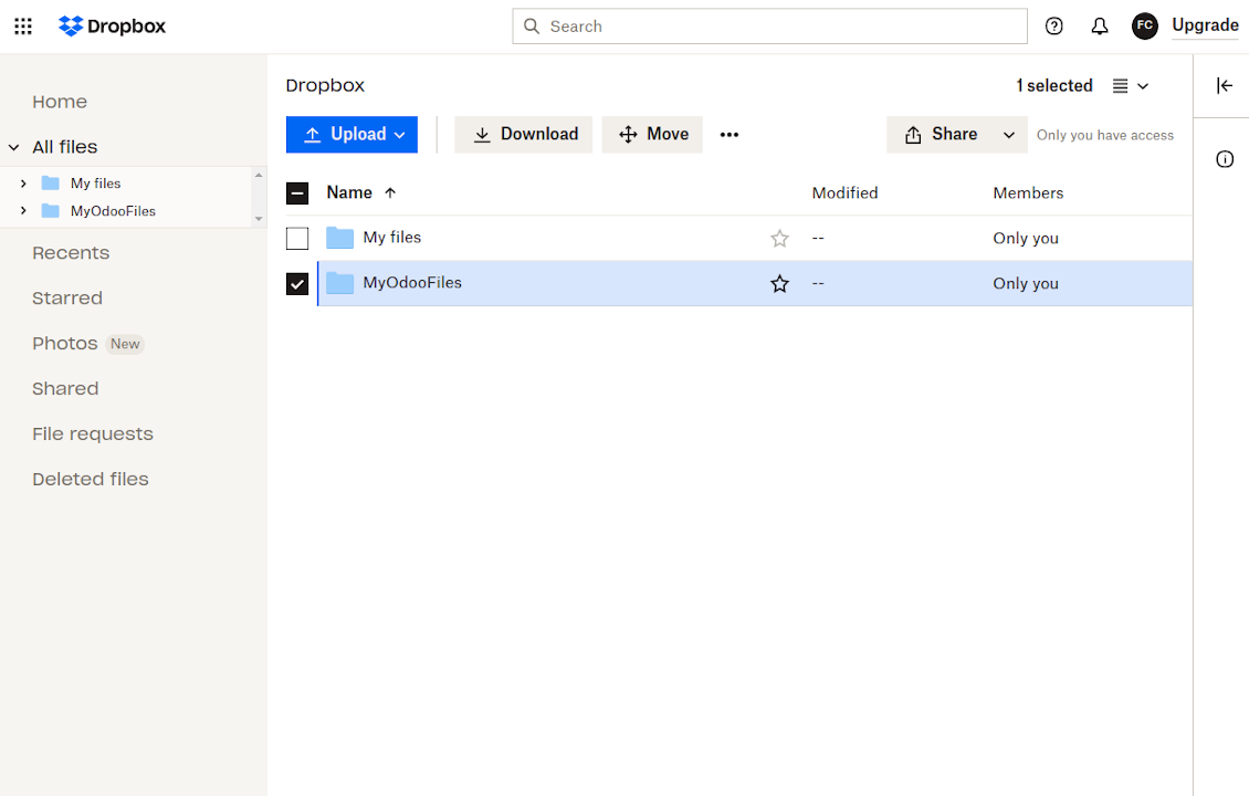 Odoo root folder in Google Drive