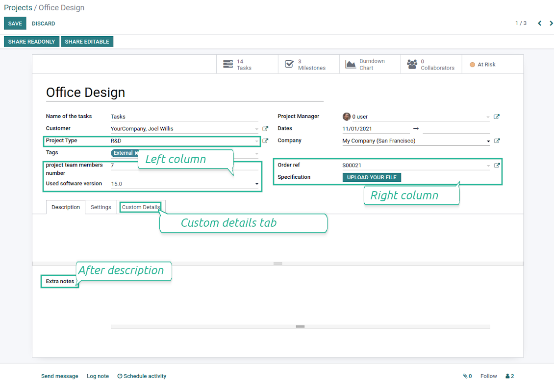Customized form view of projects