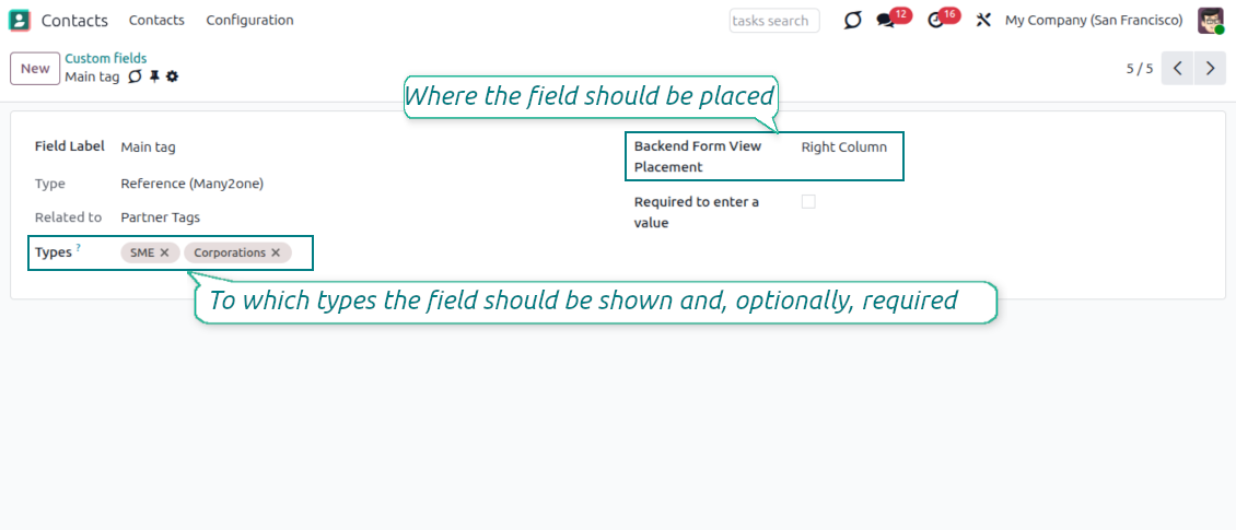 Custom fields depend on a partner type