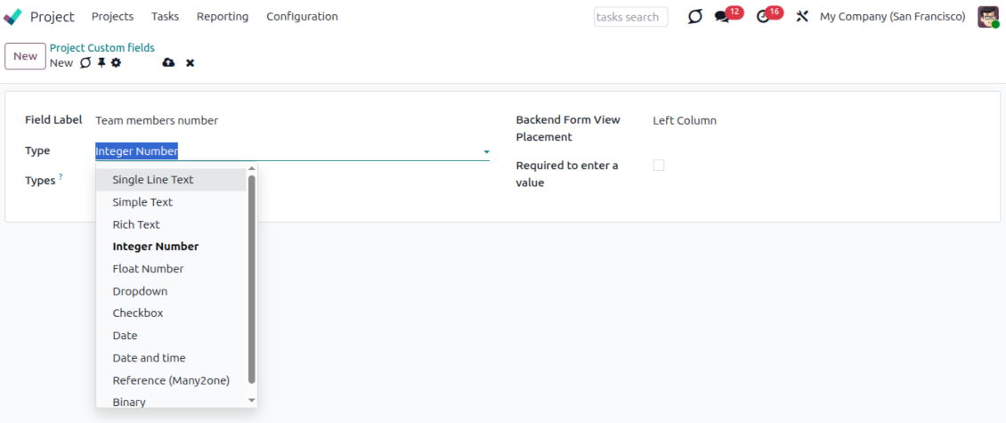 Custom field types for Odoo projects
