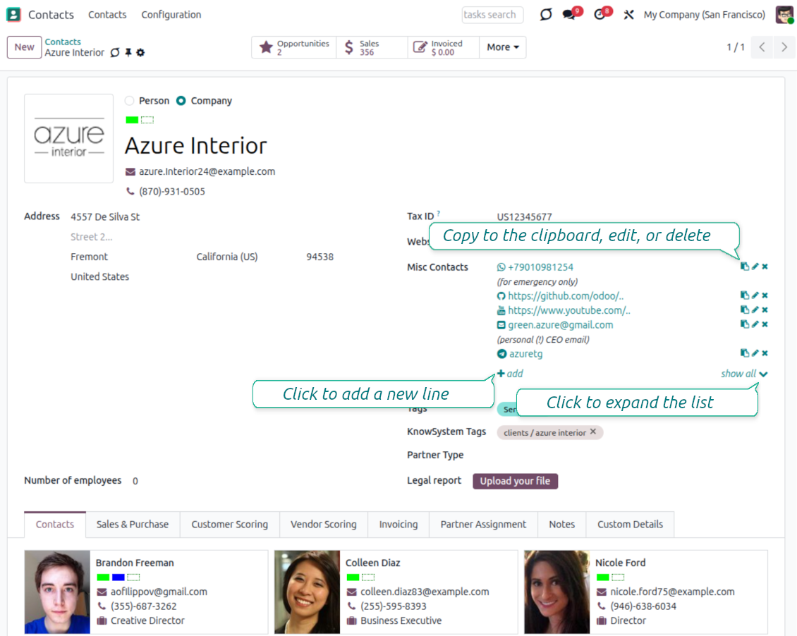 Odoo full partner details widget