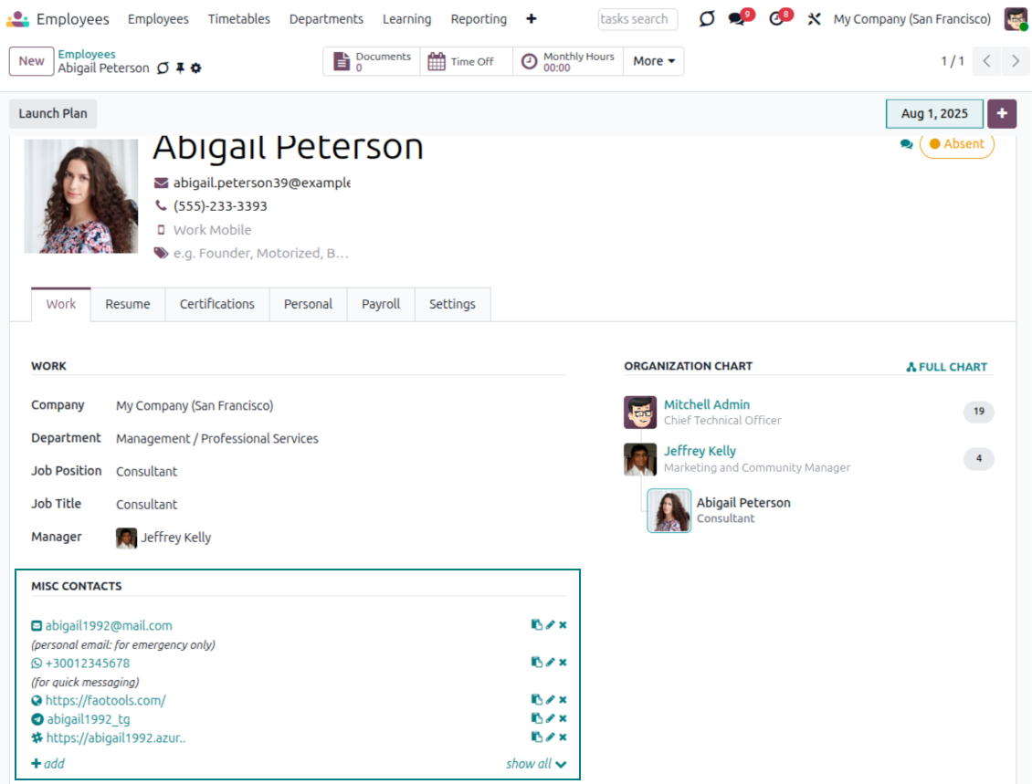 Odoo employees: full partner details widget