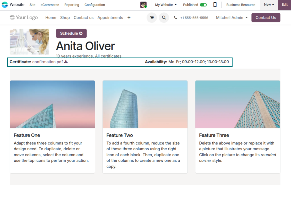Custom details on the Odoo website