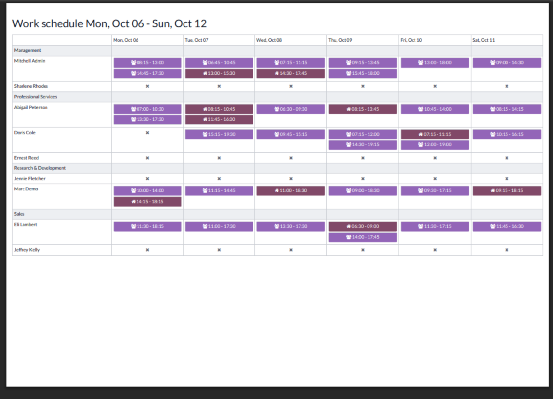 Odoo work schedule report