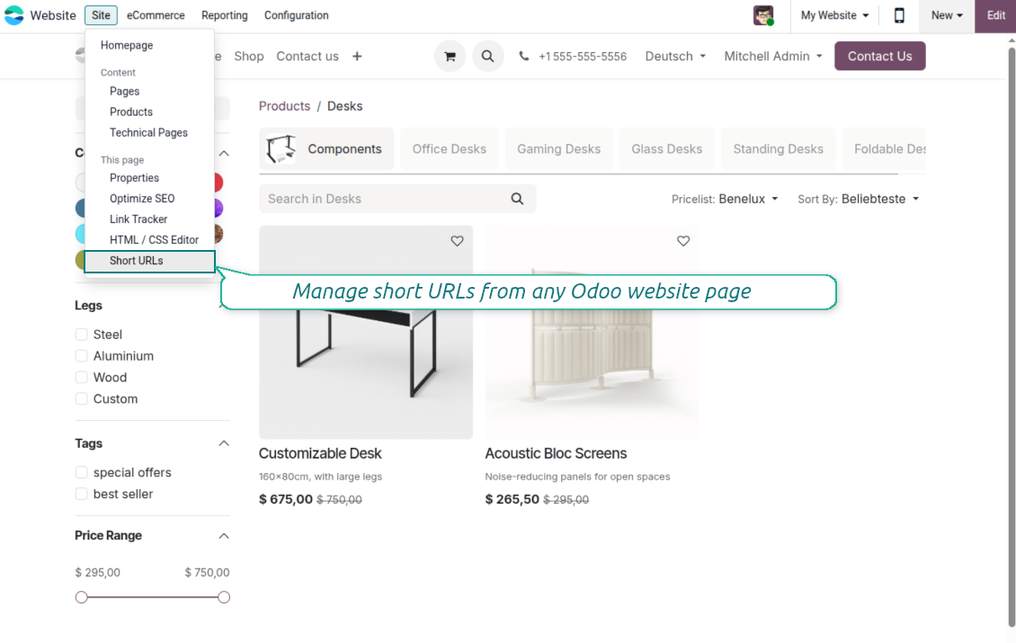 URL shortener: website customization