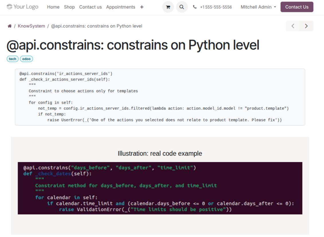 KnowSystem article displayed on an Odoo website page for portal or public knowledge readers