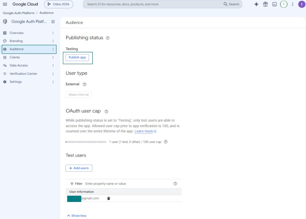 Google Auth Platform audience: test users and Publish app