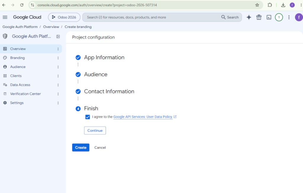 Accepting the Google API Services User Data Policy