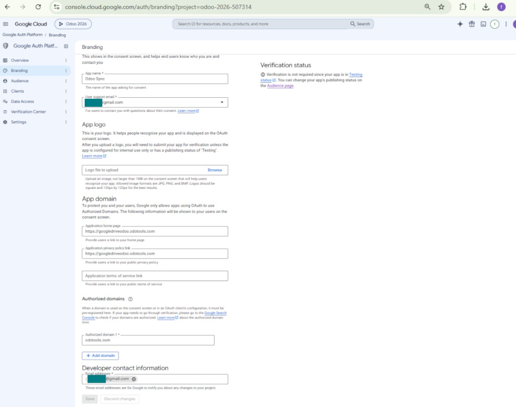 Google app branding: home page, privacy policy, and domains