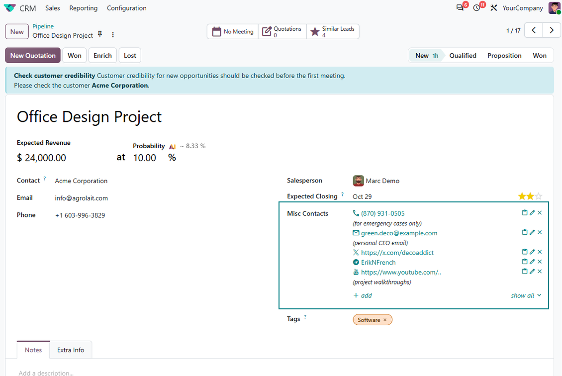 Odoo-Leads: Widget für Partnerdetails