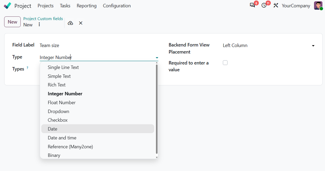 Types de champs personnalisés pour projets Odoo