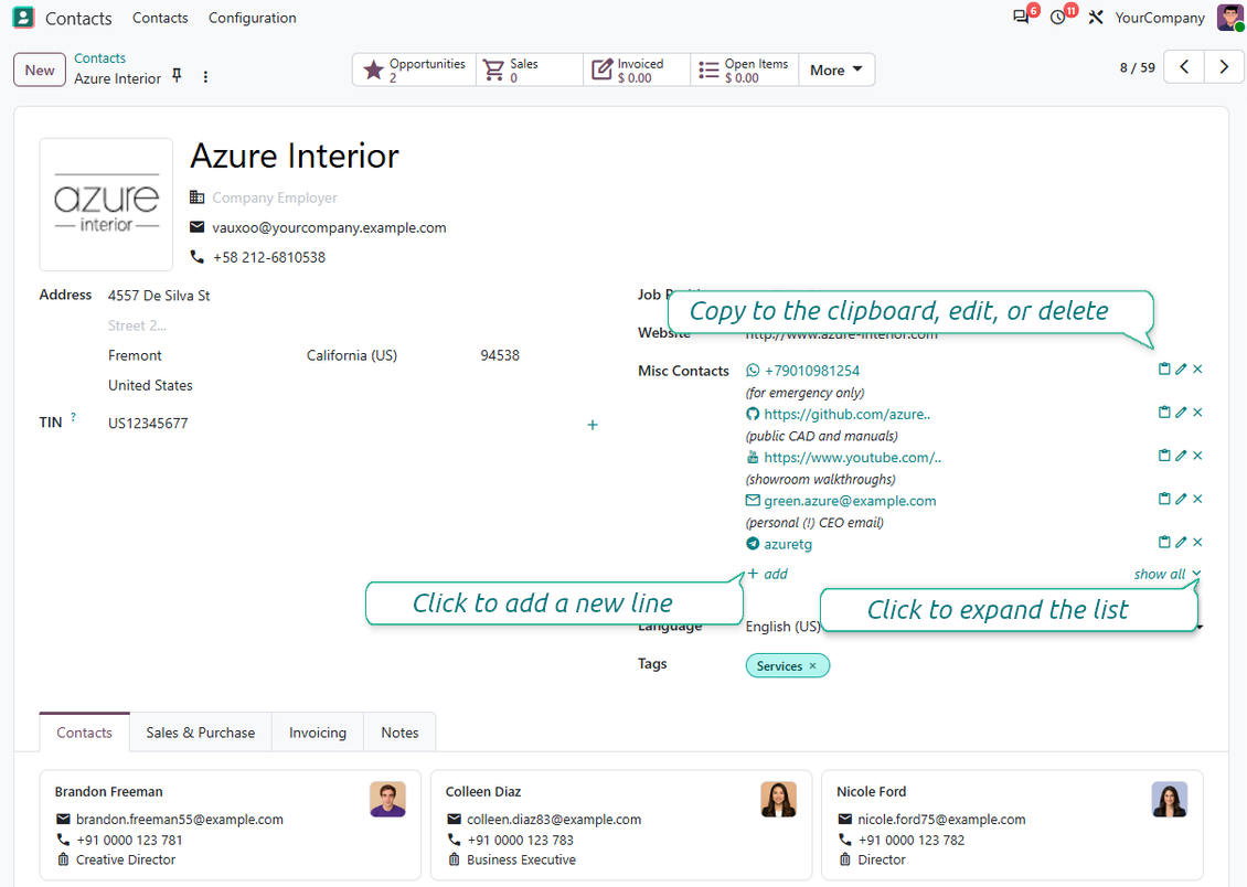 Odoo full partner details widget