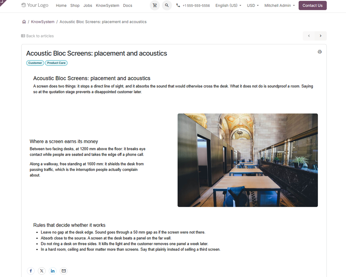 KnowSystem article displayed on an Odoo website page for portal or public knowledge readers