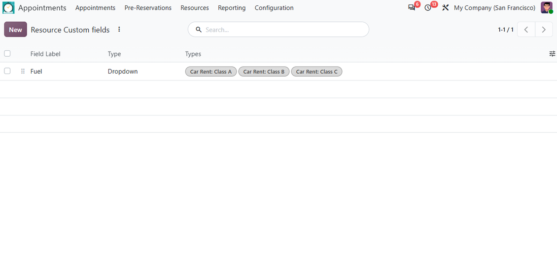 Resources: the list of custom fields