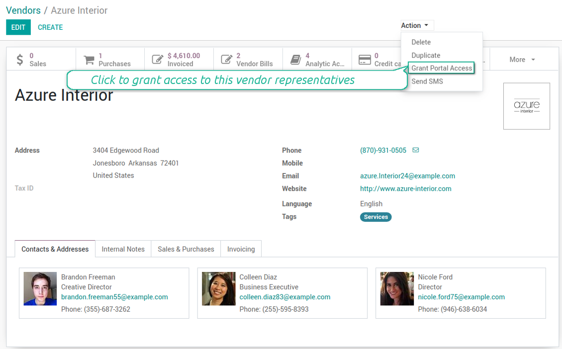 Vendor access to portal pages