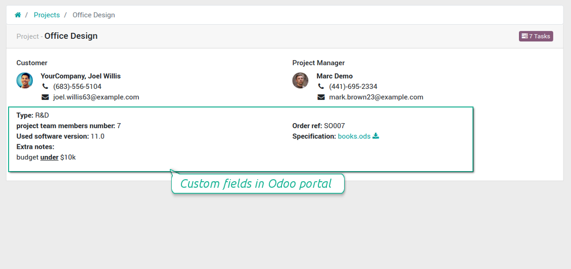 Projects' custom fields in portal
