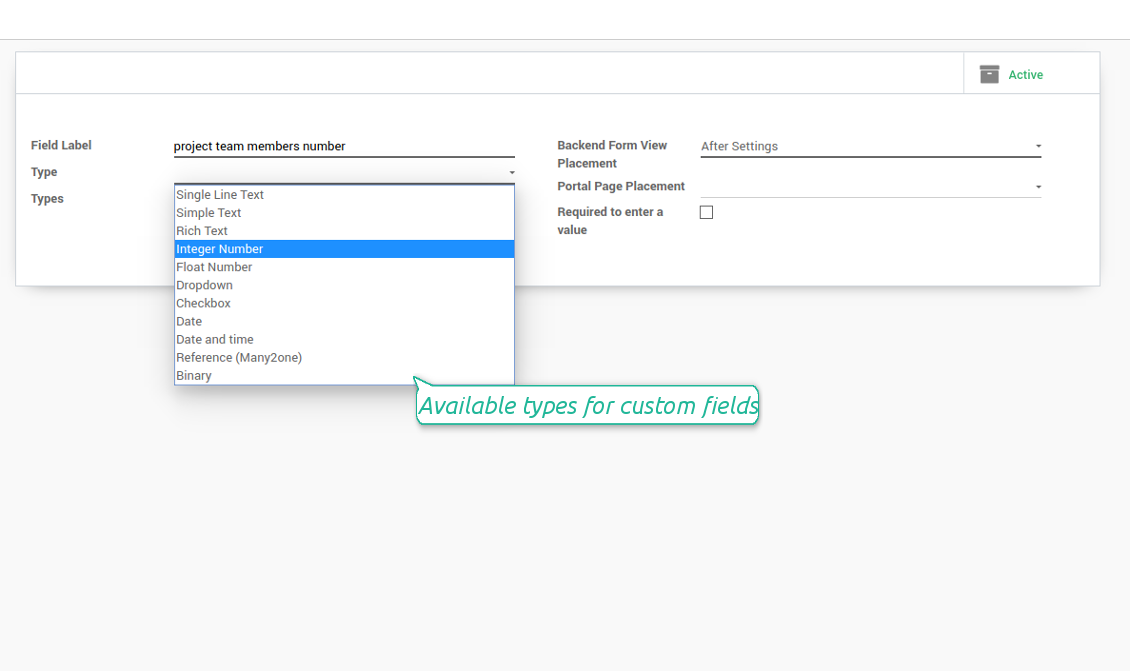 Field types for custom projects