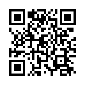 Bug Report QR code
