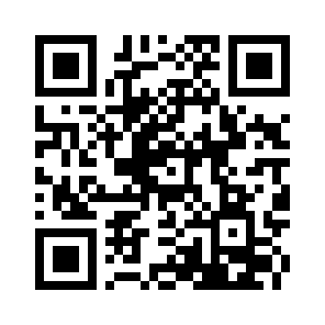 Bug Report QR code