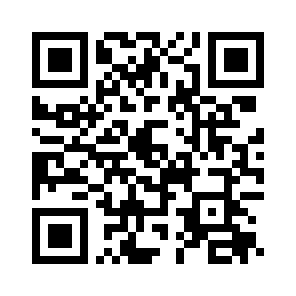 Bug Report QR code