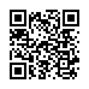 Bug Report QR code
