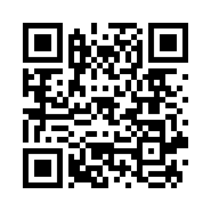 Bug Report QR code