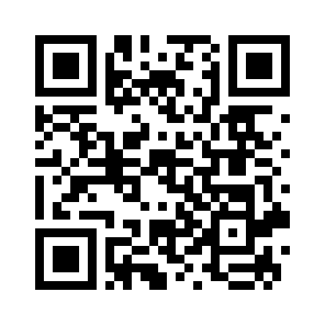 Bug Report QR code