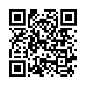 Bug Report QR code