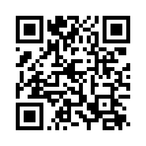 Bug Report QR code