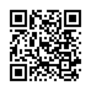 Bug Report QR code