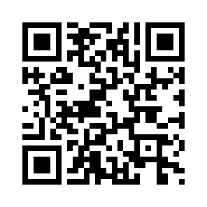 Bug Report QR code