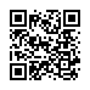 Bug Report QR code