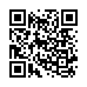 Bug Report QR code