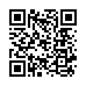 Bug Report QR code