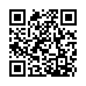 Bug Report QR code