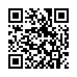 Bug Report QR code