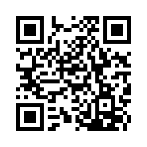 Bug Report QR code