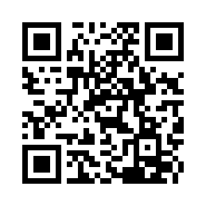 Bug Report QR code