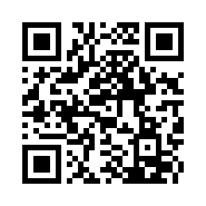 Bug Report QR code