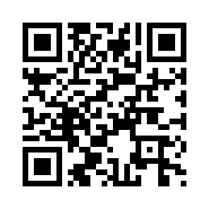Bug Report QR code