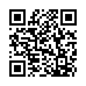 Bug Report QR code