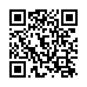 Bug Report QR code