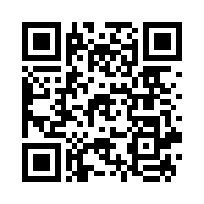 Bug Report QR code