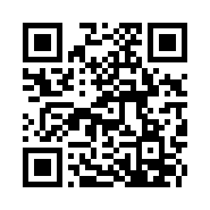 Bug Report QR code